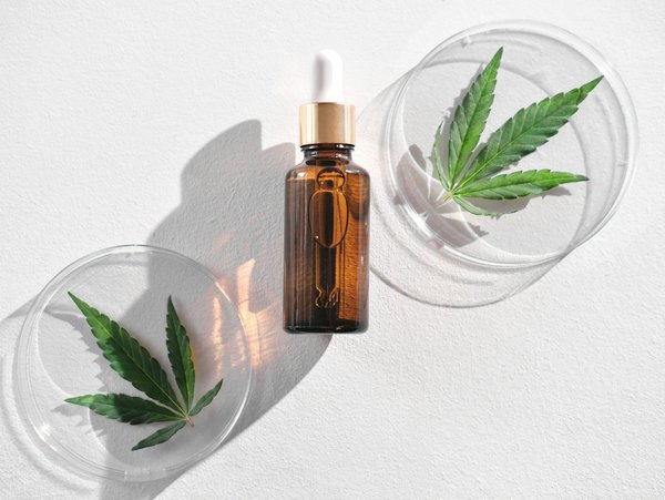 Comprendre l'interaction du cbd avec le système nerveux central et ses effets